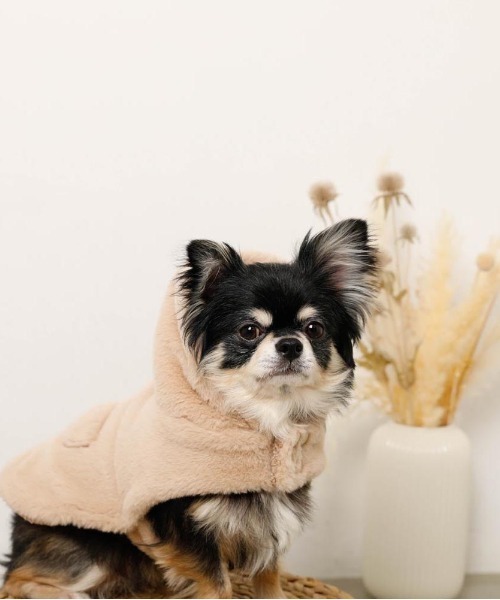 KENSHO ABE　犬柄ファー付きスキーウェア KENSHO ABE 犬柄ファー付きスキーウェア