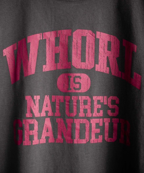 Rocky Monroe（ロッキーモンロー）の「オーバーサイズ ピグメントライクグラフィックプリントノースリーブTシャツ（タンクトップ・メンズ・C/D/E/F/A/B・M/L）」の18枚目の写真