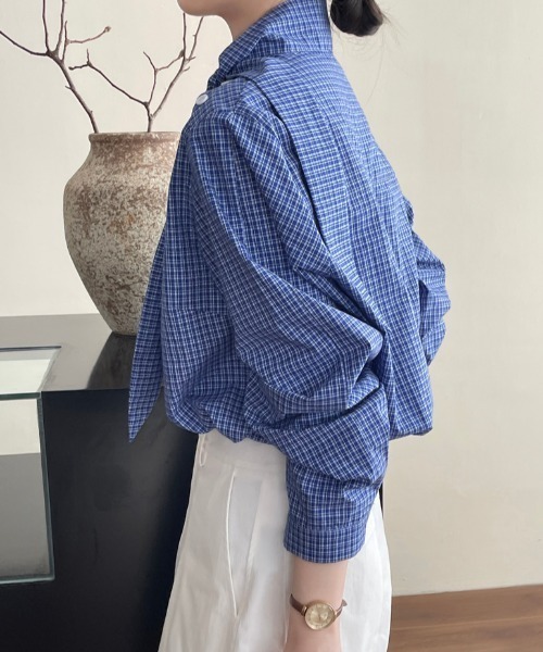 semplice(センプリチェ)の「スタンドカラー チェックシャツ(シャツ/ブラウス・レディース・ブルー・F)」の11枚目の写真