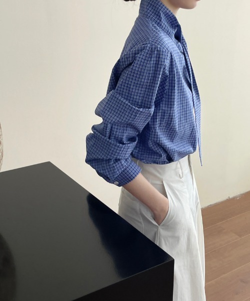 semplice(センプリチェ)の「スタンドカラー チェックシャツ(シャツ/ブラウス・レディース・ブルー・F)」の13枚目の写真