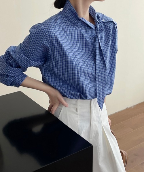 semplice(センプリチェ)の「スタンドカラー チェックシャツ(シャツ/ブラウス・レディース・ブルー・F)」の14枚目の写真
