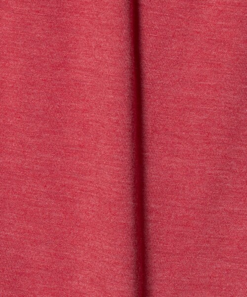 ATTISESSION（アティセッション）の「＜ATTISESSION＞ライン ショートスリーブ Tシャツ（Tシャツ/カットソー・レディース・レッド/グレー系・FREE）」の13枚目の写真