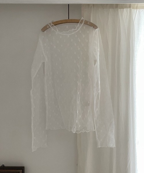 Per sist ence(パーシエンス)の「フラワードットシースルーカットソー(Tシャツ/カットソー・レディース・ホワイト/ブラック・FREE)」の18枚目の写真