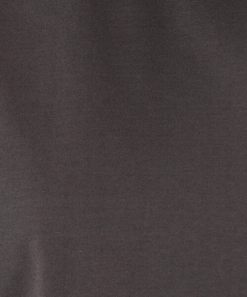 Gabardine K.T（ギャバジンケーティー）の「60／- プレーティング天竺 キレイめTシャツ（Tシャツ/カットソー・レディース・グレー/ホワイト・9号）」の3枚目の写真