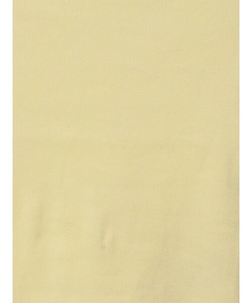 GYDA(ジェイダ)の「BASIC Tシャツ(Tシャツ/カットソー・レディース・ブラック/オフホワイト/ライトイエロー・FREE)」の22枚目の写真