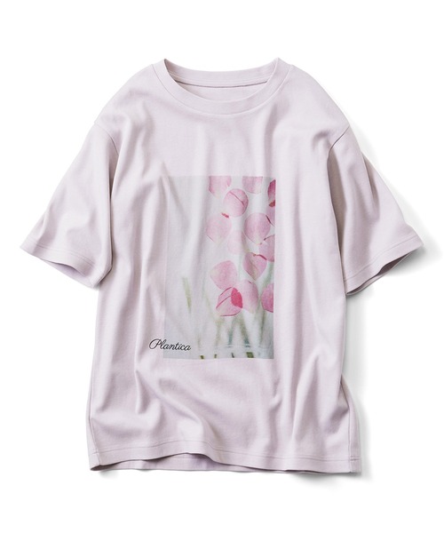 Live in comfort(リブインコンフォート)の「リブ イン コンフォート×plantica 花咲くコットンTシャツ(Tシャツ/カットソー・レディース・ベージュ系その他/ピンク系その他/オフホワイト・MEDIUM/LARGE/X-LARGE/XXX-LARGE/SMALL/XX-LARGE)」の3枚目の写真