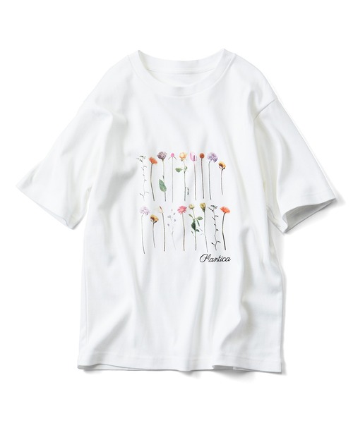 Live in comfort(リブインコンフォート)の「リブ イン コンフォート×plantica 花咲くコットンTシャツ(Tシャツ/カットソー・レディース・ベージュ系その他/ピンク系その他/オフホワイト・MEDIUM/LARGE/X-LARGE/XXX-LARGE/SMALL/XX-LARGE)」の9枚目の写真