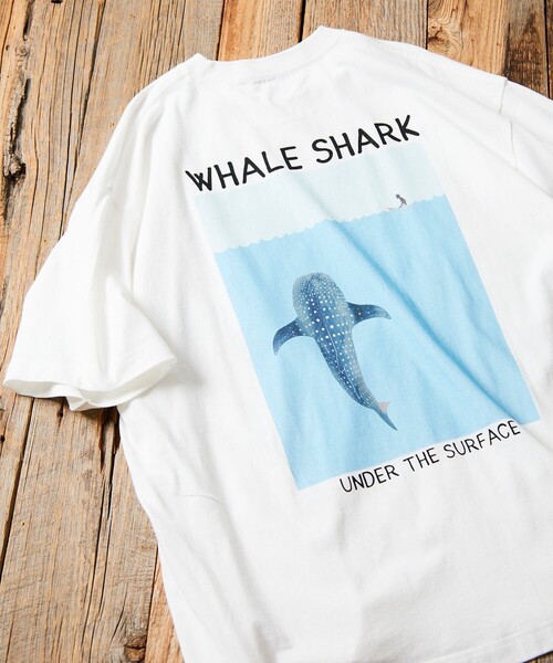 Jonas Claesson WHALE SHARK額装 Jonas Claesson WHALE SHARK額装 - メルカリ