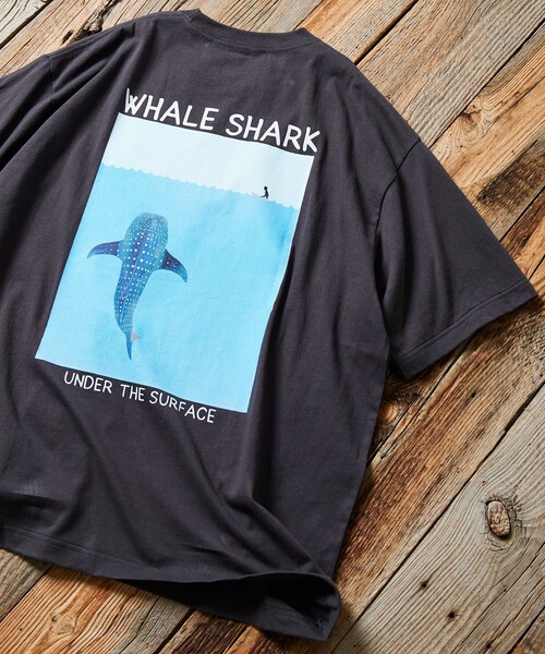 Jonas Claesson WHALE SHARK額装 Inktober Whale Shark - Print/ Framed Print – Jonas Claesson Shop