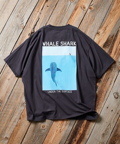 Jonas Claesson WHALE SHARK額装 Whale Shark Art Print - Jonas Claesson – Jonas Claesson Shop
