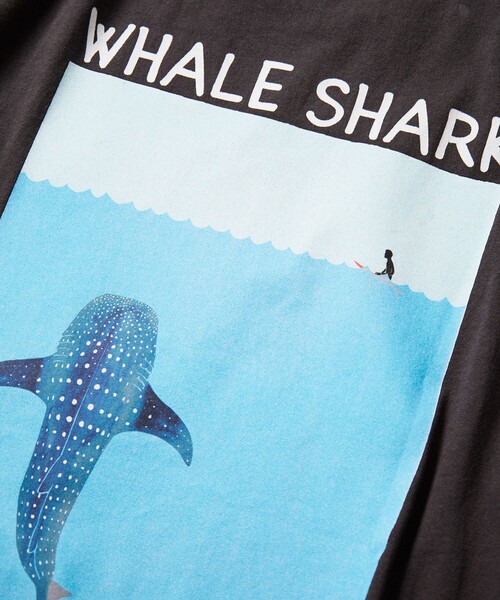 Jonas Claesson WHALE SHARK額装 Whale Shark Art Print - Jonas Claesson – Jonas Claesson Shop