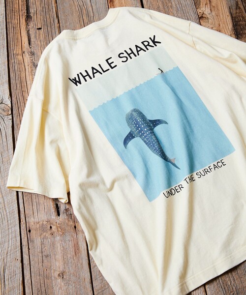 Jonas Claesson WHALE SHARK額装 Jonas Claesson WHALE SHARK額装