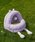 BIRTHDAY BARio[XfCo[j́uyZEZEzMONSTER PET BED p[viybgpjvboCIbg