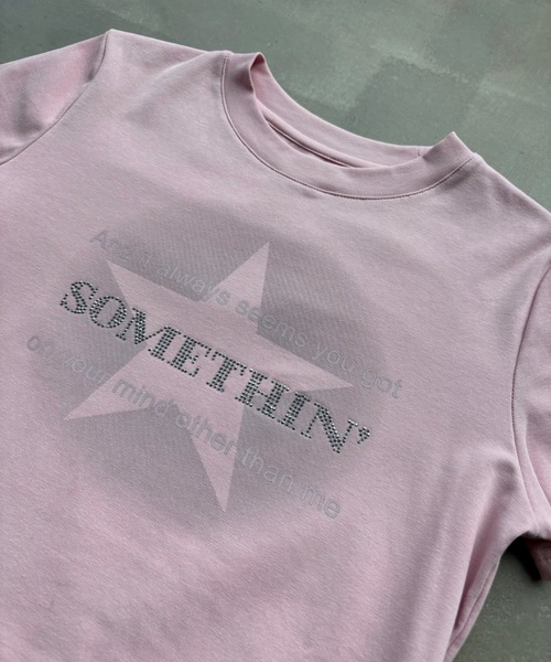 SHAGGIE(シャギー)の「キラキラストーンミニタイトTシャツ(Tシャツ/カットソー・レディース・チャコールグレー/レッド/ピンク/ホワイト/ブルー/ブラウン・FREE)」の22枚目の写真