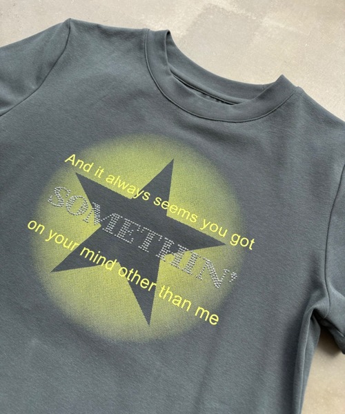 SHAGGIE(シャギー)の「キラキラストーンミニタイトTシャツ(Tシャツ/カットソー・レディース・チャコールグレー/レッド/ピンク/ホワイト/ブルー/ブラウン・FREE)」の15枚目の写真