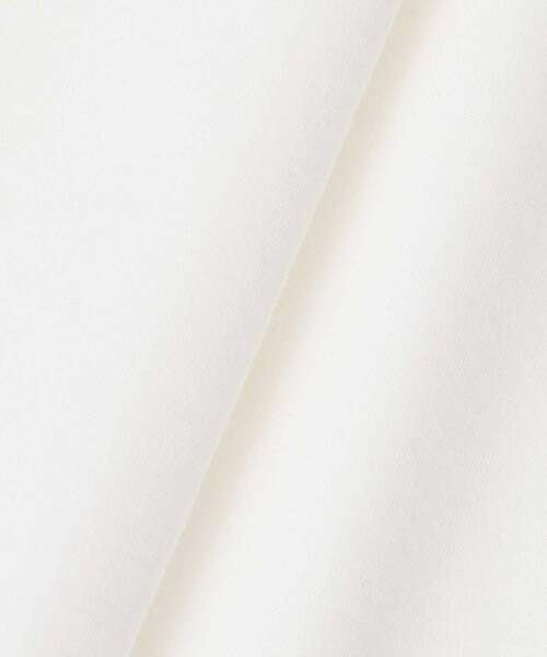 ANAYI(アナイ)の「コットン天竺半袖レギュラー プルオーバー(Tシャツ/カットソー・レディース・ブラック/ピンク/オフホワイト・38/36)」の7枚目の写真