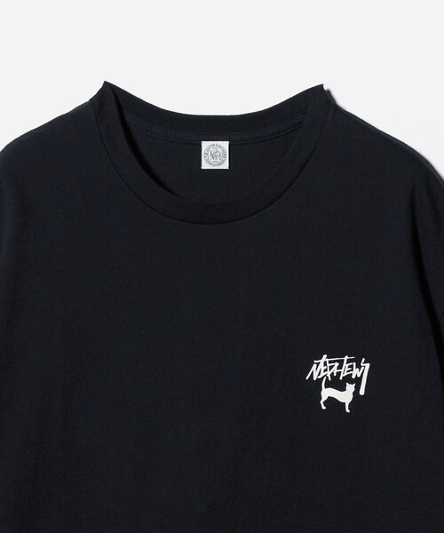 The DUFFER N NEPHEWS(ザ ダファーアンドネフューズ)の「<The DUFFER N NEPHEWS> CAT TEE BLK/Tシャツ(Tシャツ/カットソー・メンズ・ブラック・S/M)」の3枚目の写真