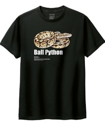 Moftique（モフティック）の「Moftique（モフティック） 半袖Tシャツ ボールパイソン 蛇 爬虫類 ペット アニマル プリント Tシャツ 半袖 トップス カットソー メンズ レディース ユニセックス 夏（Tシャツ/カットソー）」
