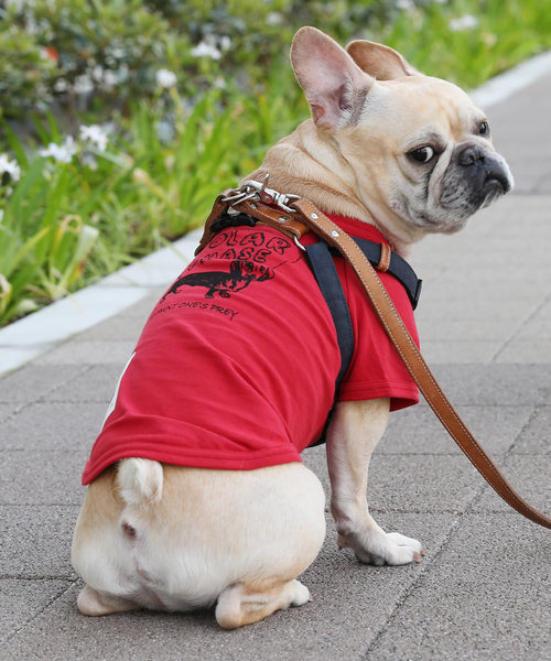 LICICK�i���V�b�N�j�́u�yLICICK�z���p�v�����gT�V���c�y�h�b�O�E�F�A�z�I���W�i���n���K�[�t���i�y�b�g�O�b�Y�j�v�b���b�h�n���̑�