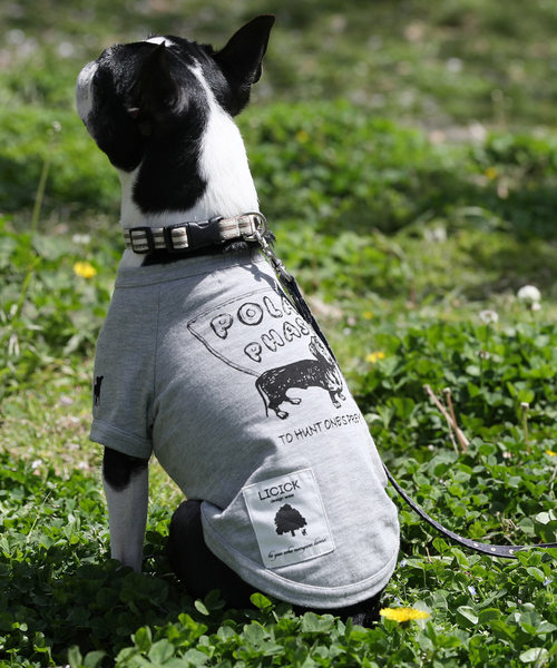 LICICK�i���V�b�N�j�́u�yLICICK�z���p�v�����gT�V���c�y�h�b�O�E�F�A�z�I���W�i���n���K�[�t���i�y�b�g�O�b�Y�j�v�b�O���[