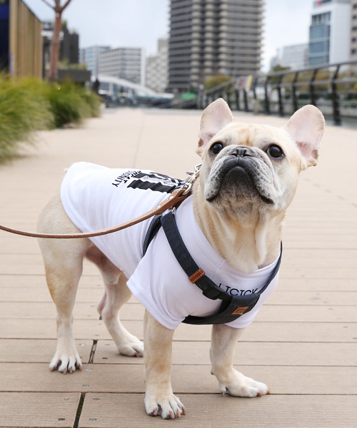 LICICK�i���V�b�N�j�́u�yLICICK�z���p�v�����gT�V���c�y�h�b�O�E�F�A�z�I���W�i���n���K�[�t���i�y�b�g�O�b�Y�j�v�b�z���C�g