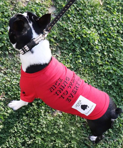 LICICK�i���V�b�N�j�́u�yLICICK�z���p�v�����gT�V���c�y�h�b�O�E�F�A�z�I���W�i���n���K�[�t���i�y�b�g�O�b�Y�j�v�b���b�h�n���̑�2