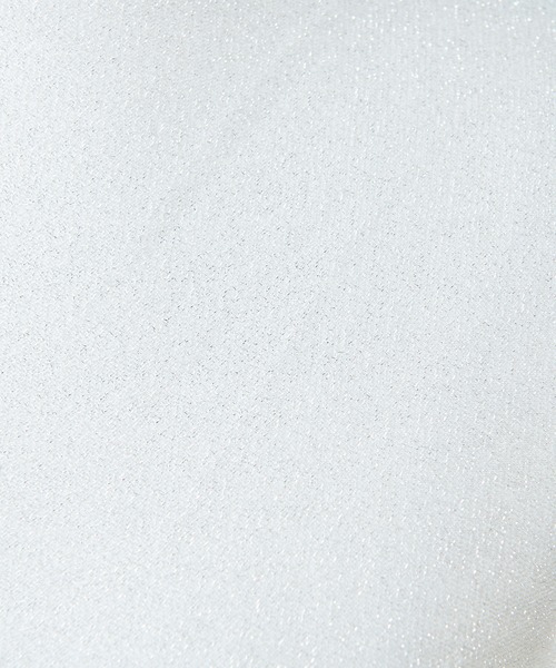 one after another NICE CLAUP（ワンアフターアナザーナイスクラップ）の「メロープチハイネックインナー（タンクトップ・レディース・オフホワイト/シルバー/ミント/ベージュ系その他・FREE）」の20枚目の写真