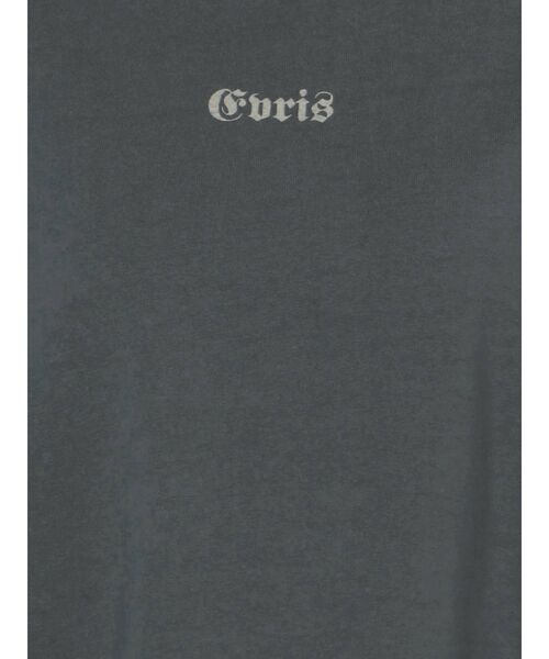 EVRIS（エヴリス）の「ロールアップグラフィックTEE（Tシャツ/カットソー・レディース・ベージュ/グレー/ブルー/アイボリー・FREE）」の15枚目の写真