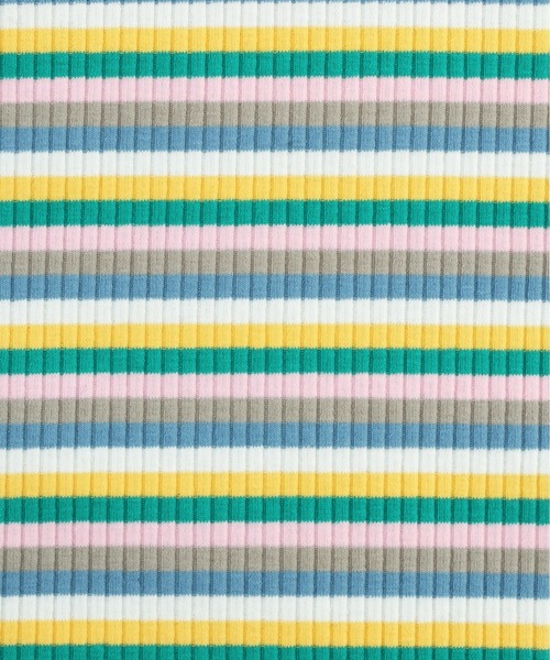 PUNYUS（プニュズ）の「マルチボーダーハイネックトップス（Tシャツ/カットソー・レディース・グリーン/ネイビー/パープル・1/2/3/4）」の18枚目の写真