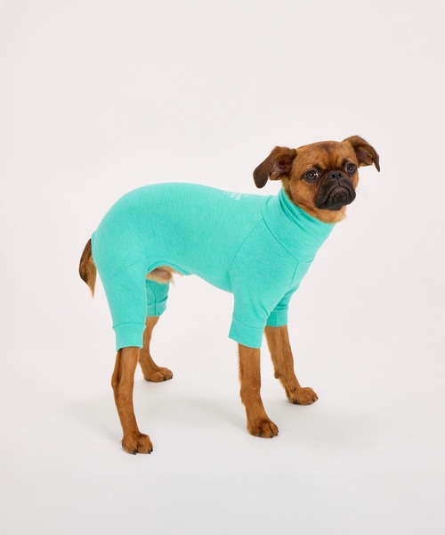 MANDARINE BROTHERS（マンダリンブラザーズ）の「スキンタイトスーツ/小型犬/M/MD/L（ペットウェア・レディース・ピンクベージュ/チョコ/マスタード/アイボリー/ターコイズブルー/オレンジ/カーキ/パープル/グレー/ネイビー/ブラック/ピンク/ミント・M/L/MD）」の7枚目の写真