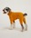 MANDARINE BROTHERS�i�}���_�����u���U�[�Y�j�́u�X�L���^�C�g�X�[�c/���^��/M/MD/L�i�y�b�g�E�F�A�j�v�b�}�X�^�[�h