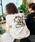 FREAK'S STOREit[NXXgAj́umatsui×FREAK'S STORE/}cC×t[NXXgA ʒuDancevobNtFghJ N[lbN XEFbgiXEFbgjvbO[