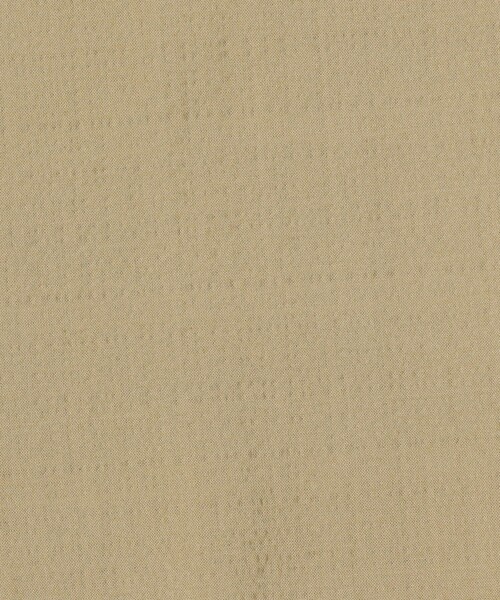 BACCA（バッカ）の「シアサッカー スリムストレートパンツ（その他パンツ・レディース・ネイビー/ベージュ・36/34）」の9枚目の写真