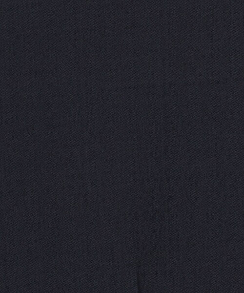 BACCA（バッカ）の「シアサッカー スリムストレートパンツ（その他パンツ・レディース・ネイビー/ベージュ・36/34）」の8枚目の写真