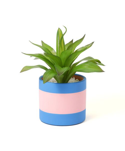 セール】ポット付きアートグリーン アガベ（インテリア雑貨