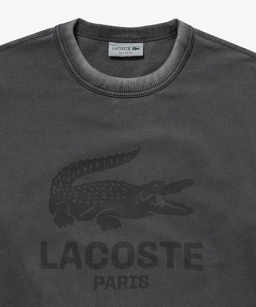 LACOSTE(ラコステ)の「ヴィンテージエフェクト ロゴクルーネックスウェット(スウェット・メンズ・イエロー/グレイッシュブルー/ダークアッシュ/ピンク・2/3/5/4)」の6枚目の写真