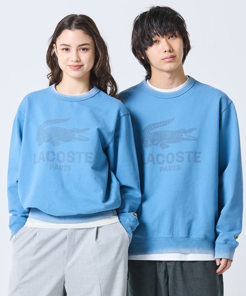 セール】ヴィンテージエフェクト ロゴクルーネックスウェット