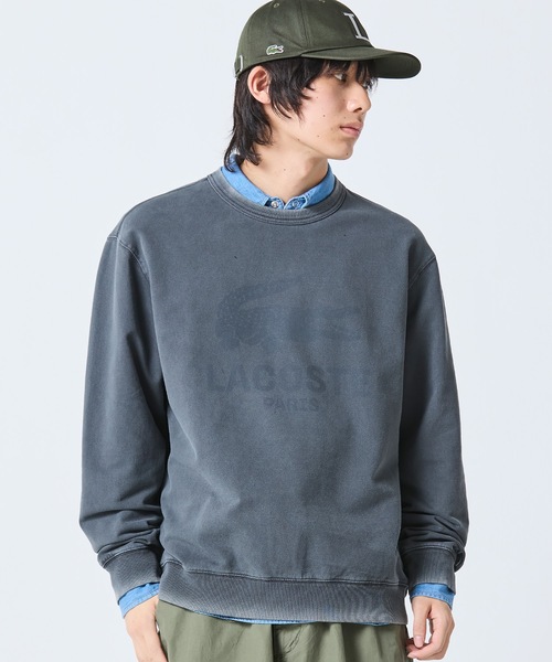 LACOSTE｜ラコステのスウェット（グレー/灰色系）通販 - ZOZOTOWN