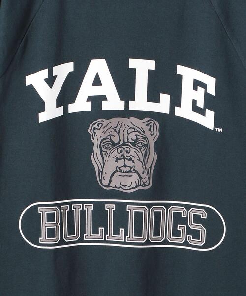 Champion（チャンピオン）の「＜CHAMPION（チャンピオン）＞ YALE USA LS TEE/カットソー（Tシャツ/カットソー・メンズ・ネイビー/ホワイト・M/L/XL）」の5枚目の写真