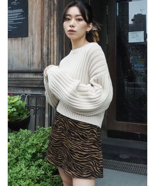 EVRIS（エヴリス）の「アニマルパターンミニスカート（スカート・レディース・ブラウン/その他1・SMALL/MEDIUM）」の12枚目の写真