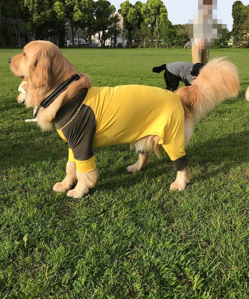 【GREEN BOWL】ストレッチ カバーオール・ロンパース・つなぎ / 犬服 / ドッグウェア/ 中型・大型犬 (胴回り69cm)（ペットウェア）｜GREEN BOWL（グリーンボウル）