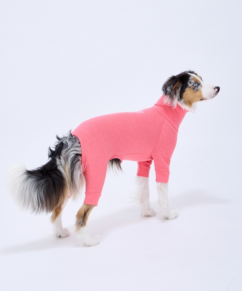 番犬 楽天市場】2025年のかっこい番犬ジャーマンシェパード いぬ 犬の