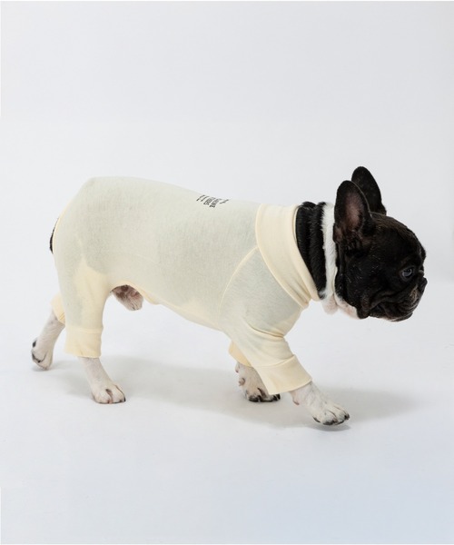 MANDARINE BROTHERS（マンダリンブラザーズ）の「スキンタイトスーツ/小型犬･中型犬/XL/XLB/XXL（ペットウェア・レディース・グレー/ネイビー/パープル/カーキ/オレンジ/ターコイズブルー/アイボリー/チョコ/マスタード/ピンクベージュ/ミント/ピンク/ブラック・XL/XXL/XLB）」の2枚目の写真