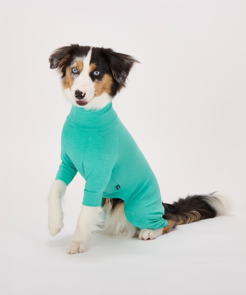 スキンタイトスーツ/小型犬・中型犬/XL/XLB/XXL（ペットウェア