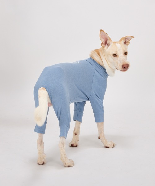 スキンタイトスーツ/小型犬・中型犬/XL/XLB/XXL（ペットウェア