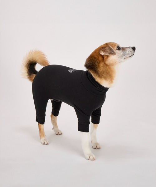 ペリ犬 Amazon | ペットパラダイス 犬 ハーネス くまちゃん 顔 リード