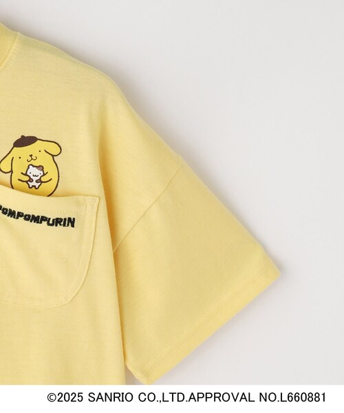セール】【サンリオキャラクターズ】クロップドTシャツ（Tシャツ