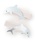 petit mainiveB}Cj́uSEA`[twANbv 2Piob^/wANbvjvbTbNXu[