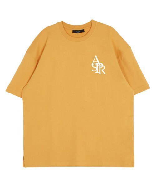 ASTRAL PROJECTION(アストラルプロジェクション)の「シンボルロゴラウンドネック15番手綿半袖Tシャツ_チェダー(Tシャツ/カットソー・レディース・その他・LARGE/X-LARGE)」の2枚目の写真