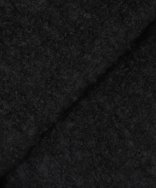 IENA(イエナ)の「ループインレイハーフコート(その他アウター・レディース・ブラック/キャメル・FREE)」の4枚目の写真